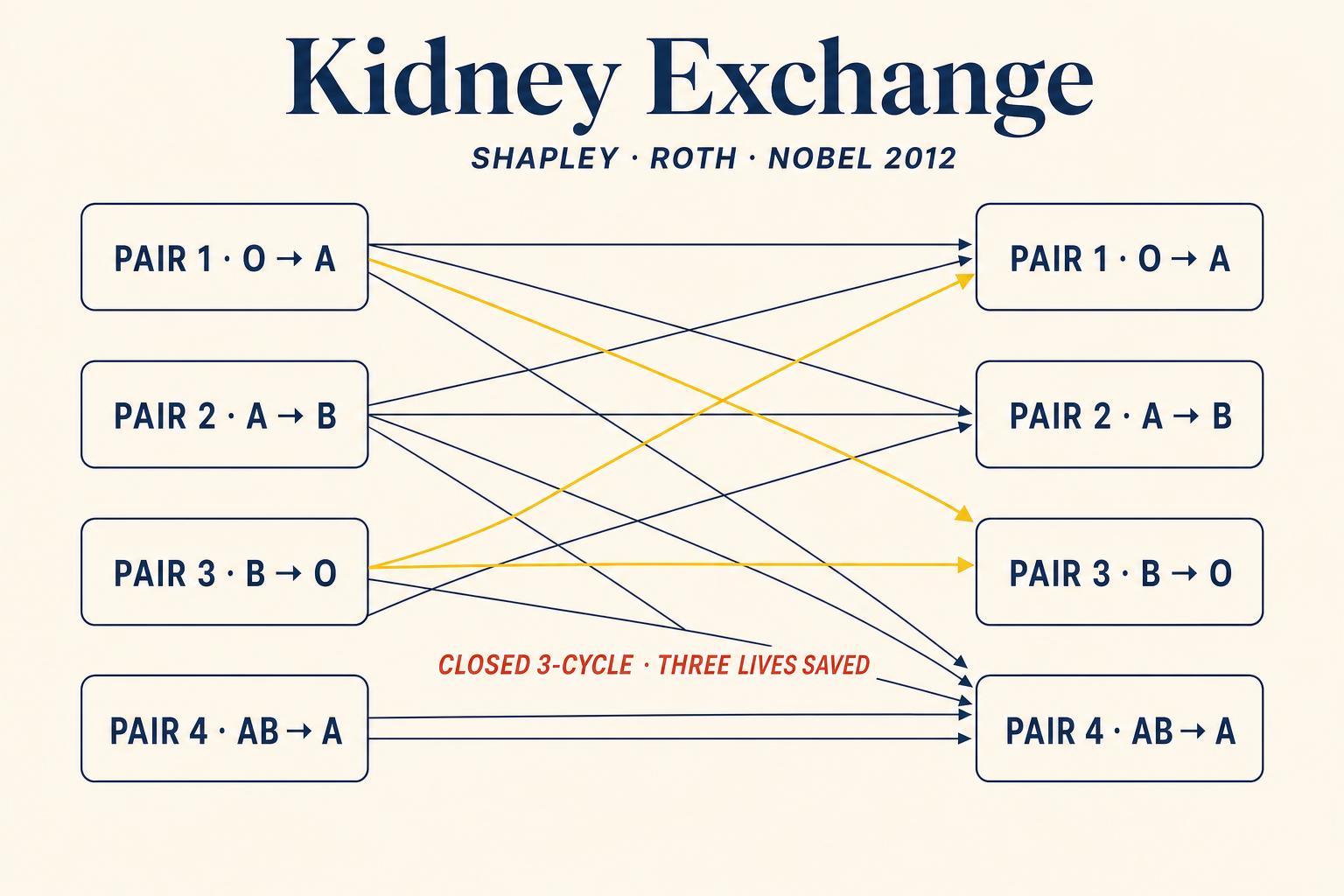Mechanism design as a life-saving algorithm. Four incompatible donor-patient pairs; one closed 3-cycle of mutual compatibility; three transplants that could not have happened any other way. Shapley and Roth shared the 2012 Nobel for showing that the right cycle in the right graph is worth more than any market price. The same idea routes school-choice assignments, medical residencies, and a quiet share of the modern matching economy.