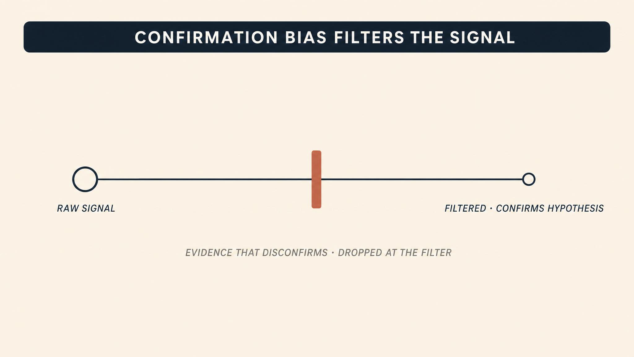 Confirmation bias filters out the signal