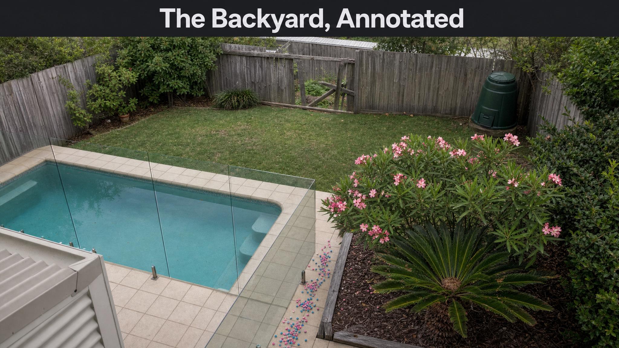 The Australian backyard, annotated