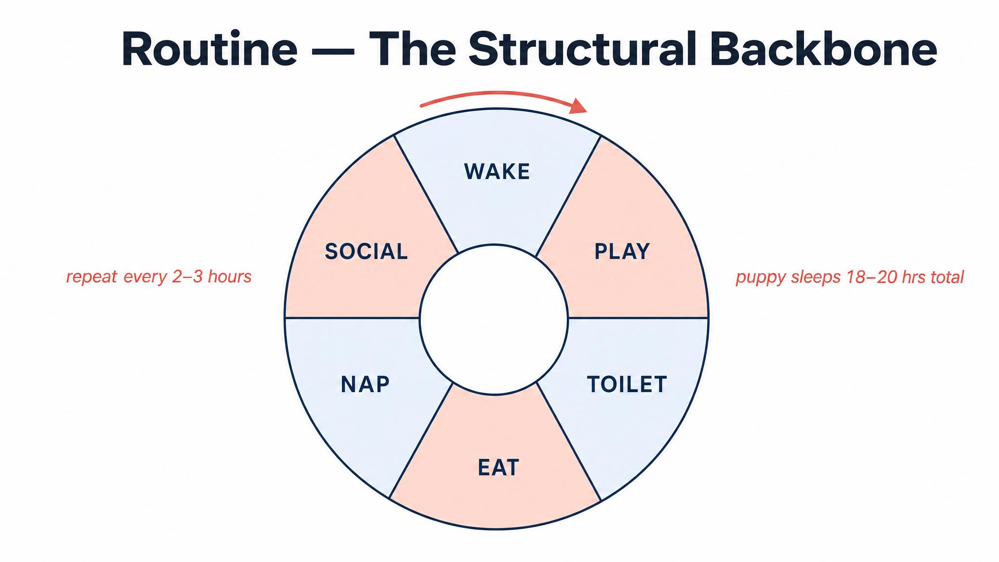 Routine — the structural backbone
