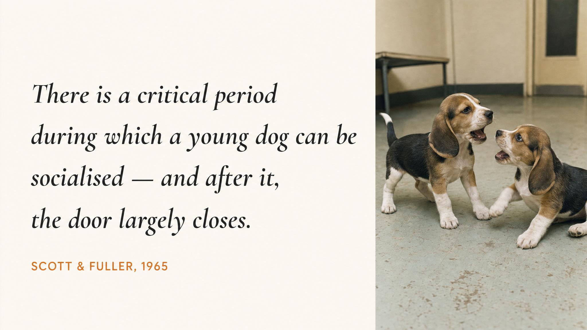Scott & Fuller — the quote