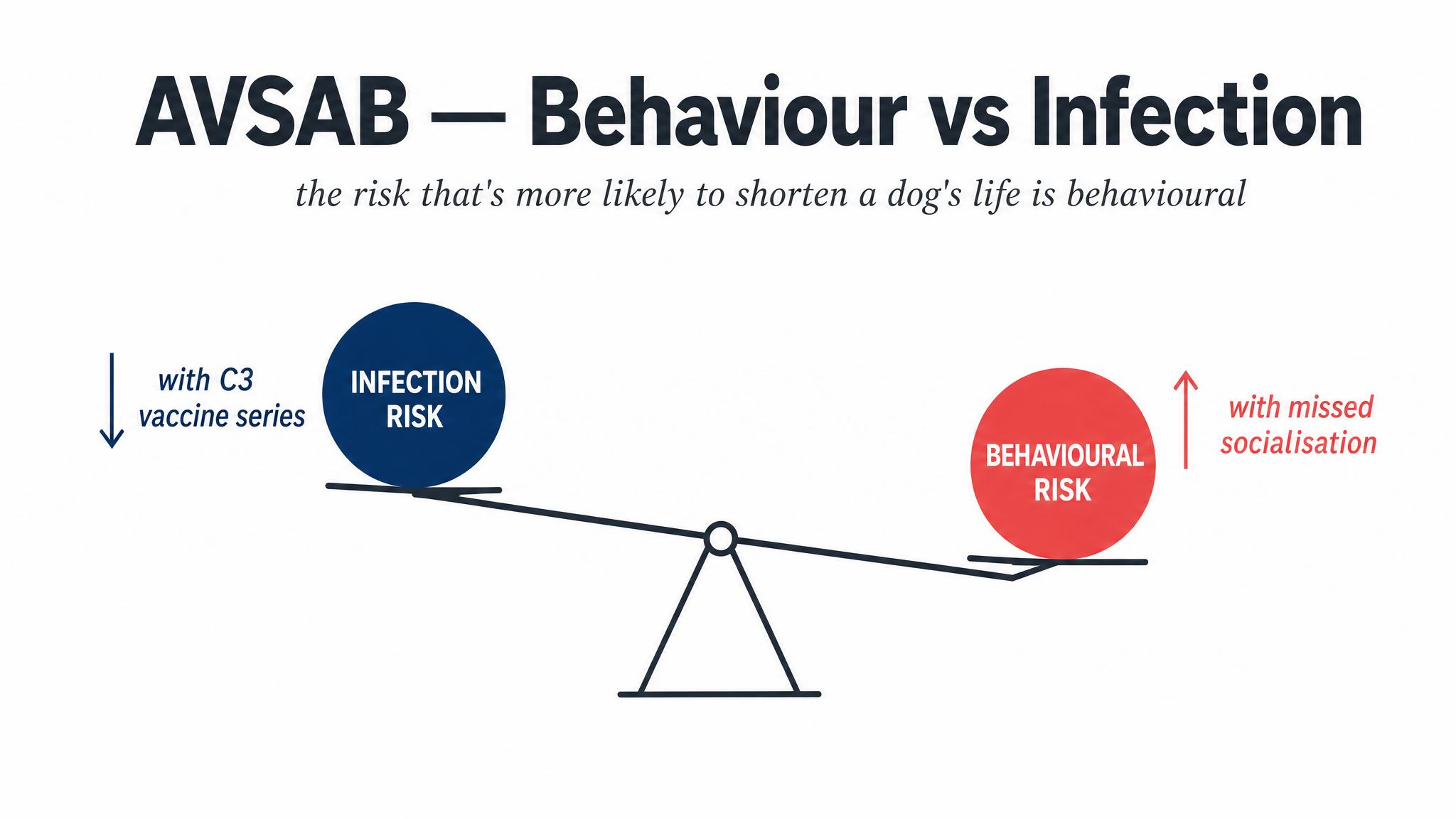 AVSAB — Behaviour vs Infection