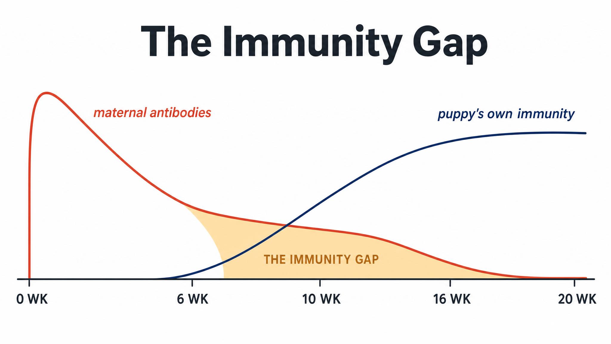 The immunity gap