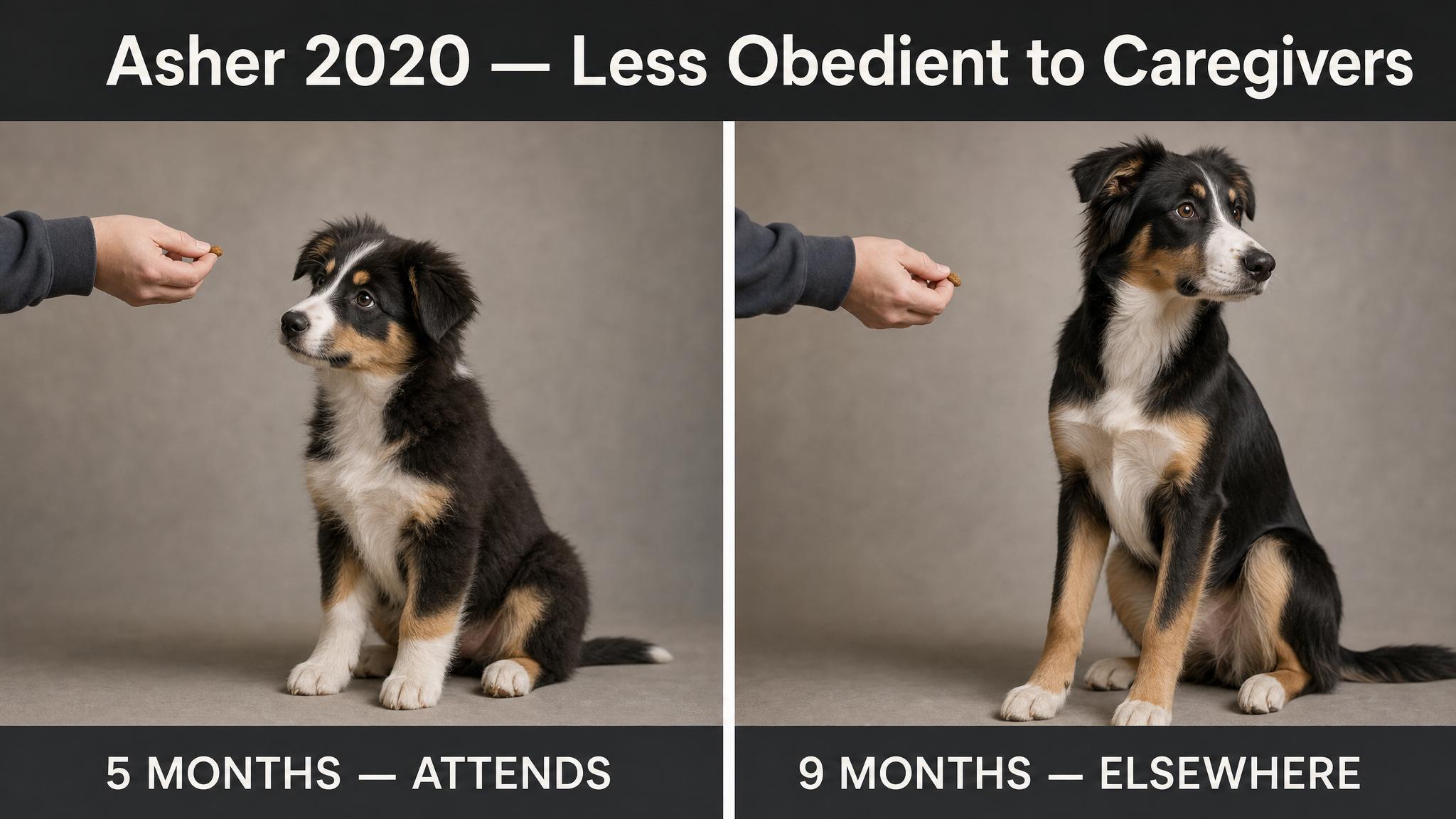 Asher 2020 — Less Obedient to Caregivers
