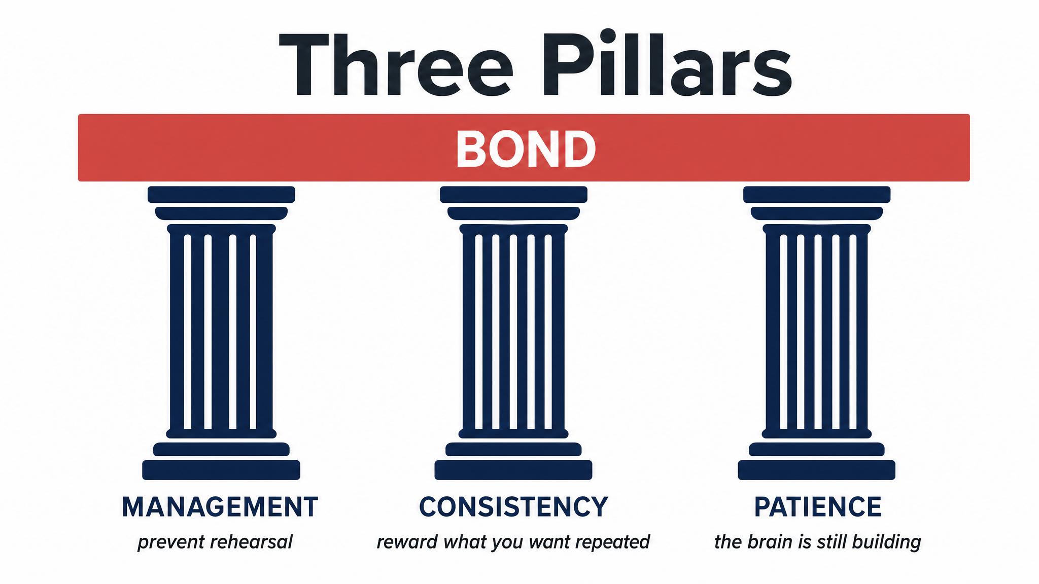 Three Pillars — Management, Consistency, Patience