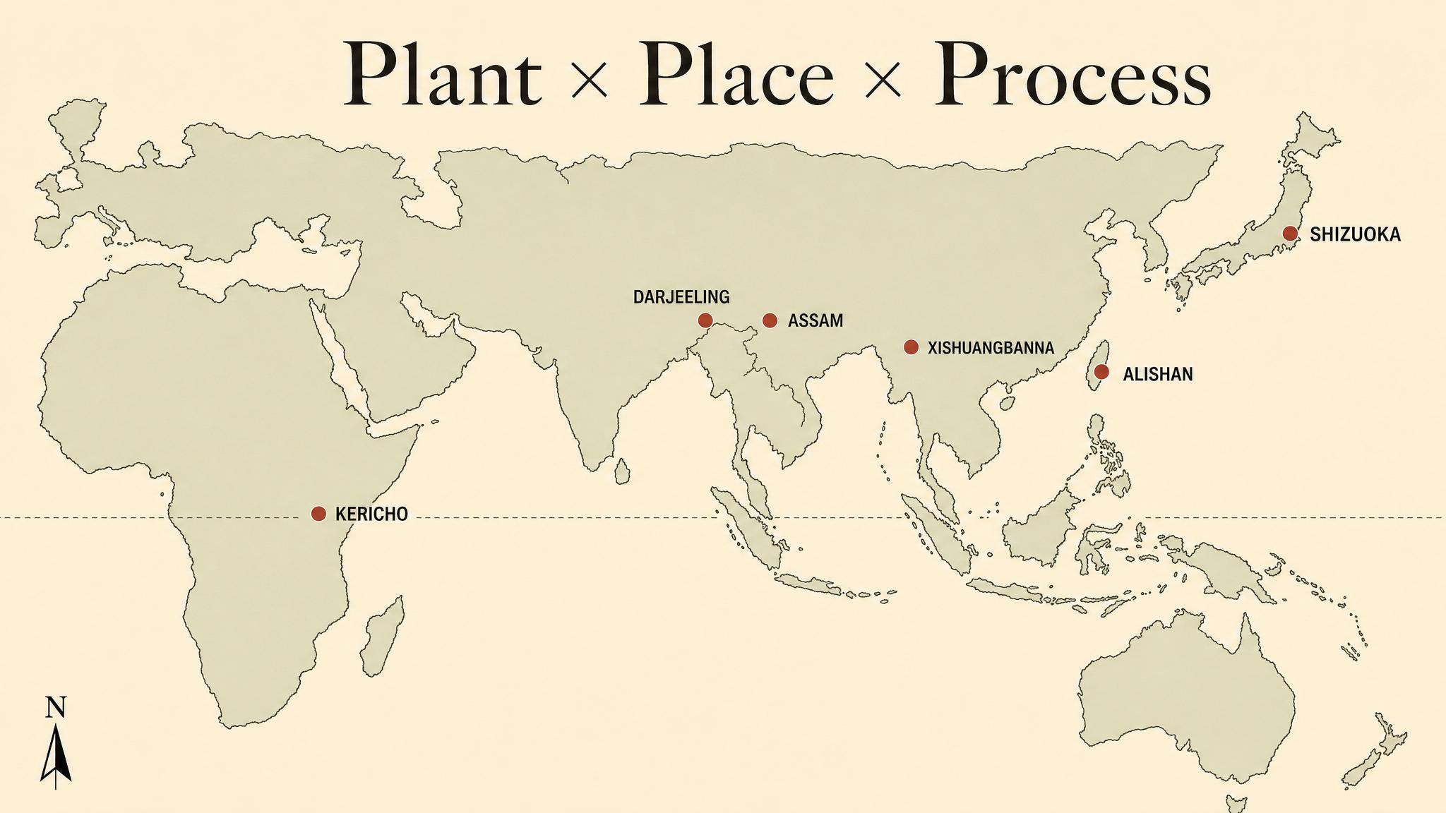 Six of the regions named in this chapter, mapped together. Every one produces tea from the same species — and produces a different cup, because variety, place, and process all change with the geography.