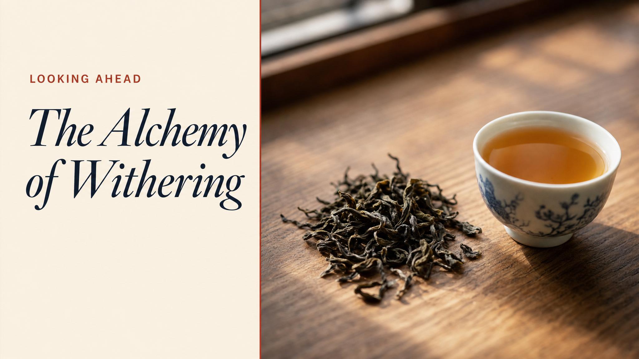 Closing — from leaf to cup