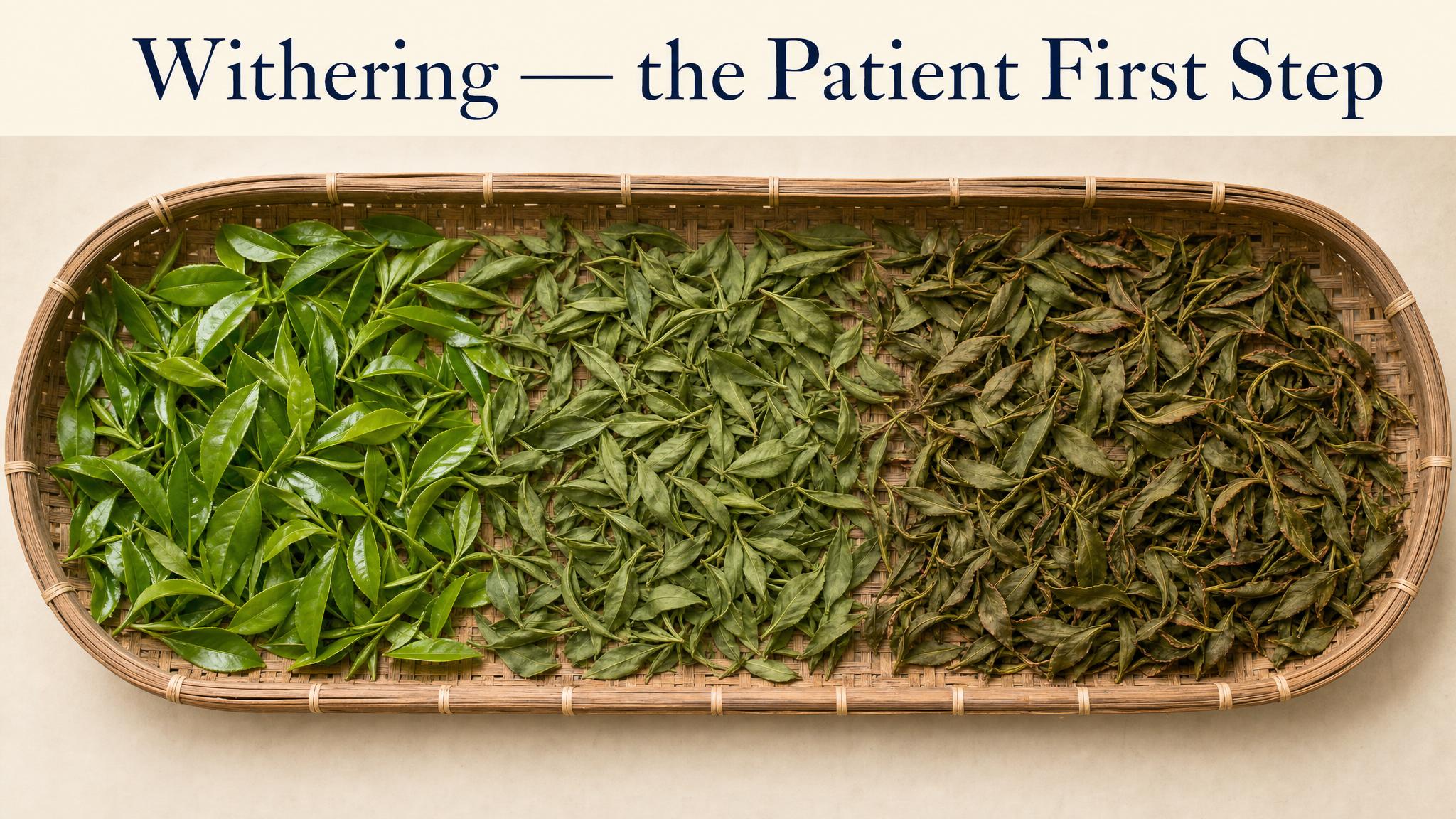 Withering — the patient first step