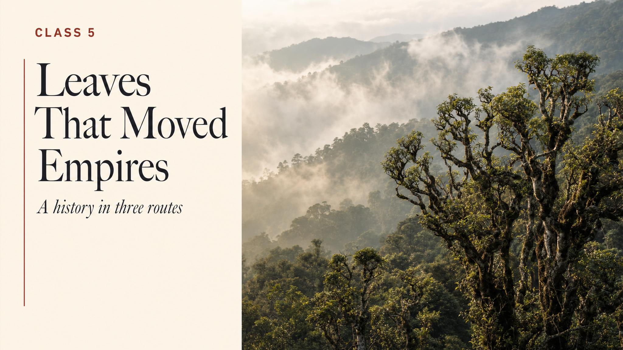 Title — Leaves That Moved Empires