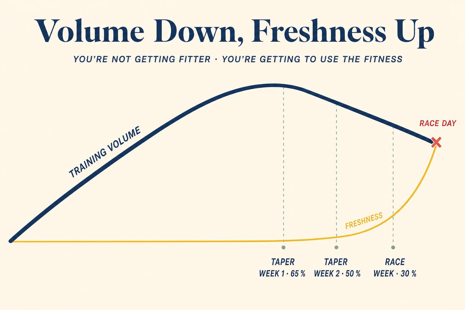 Volume comes down, freshness comes up — they cross on race day. Doing less is, in fact, doing more.