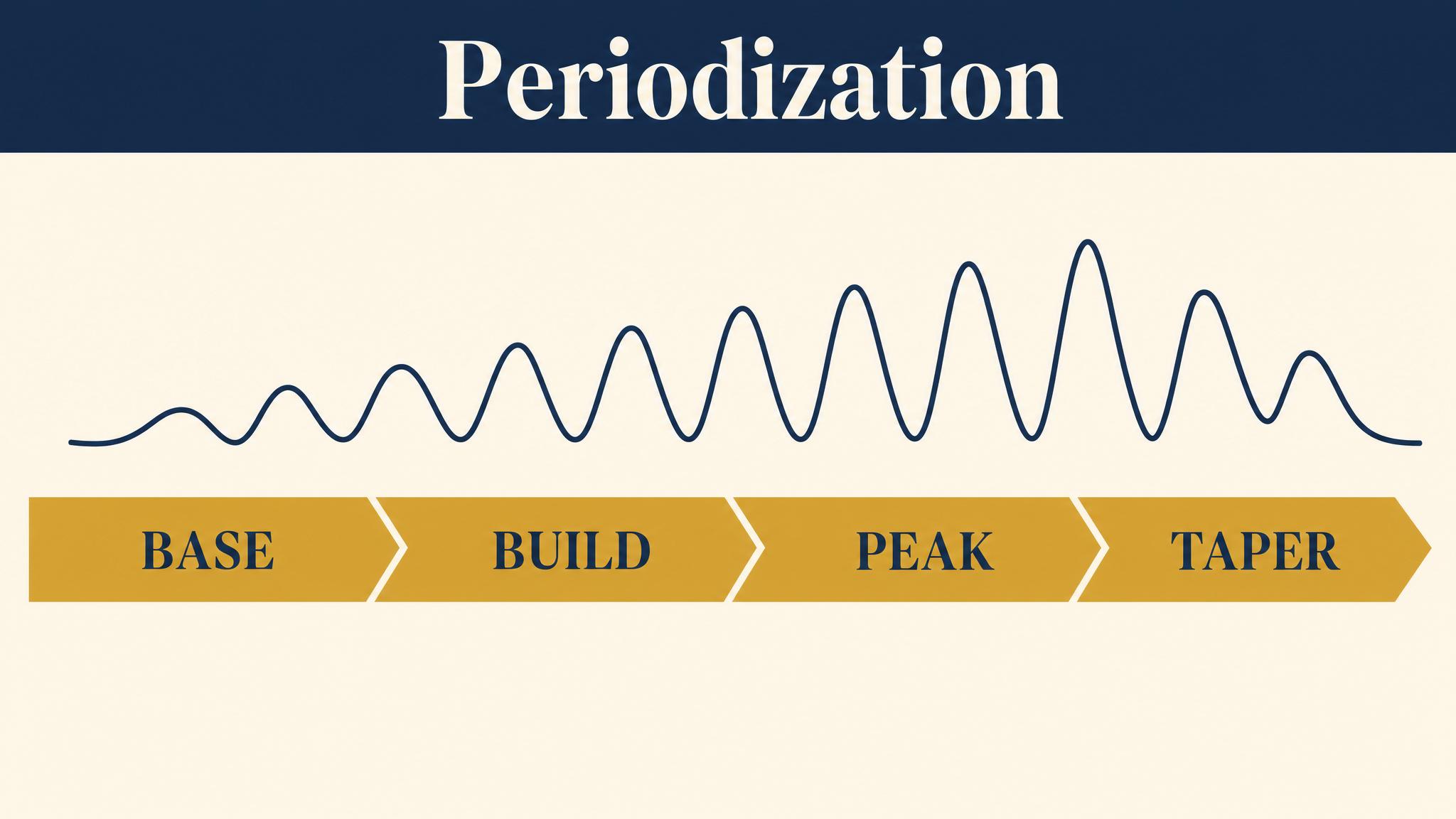 Periodization