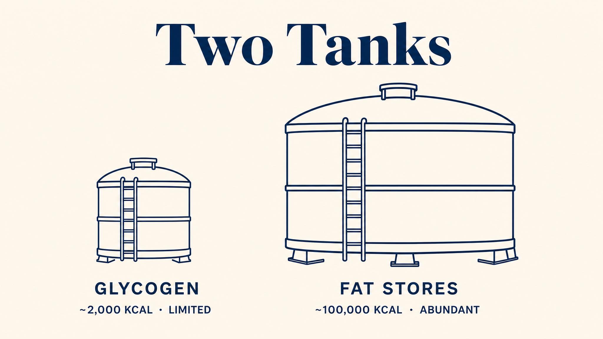Two tanks