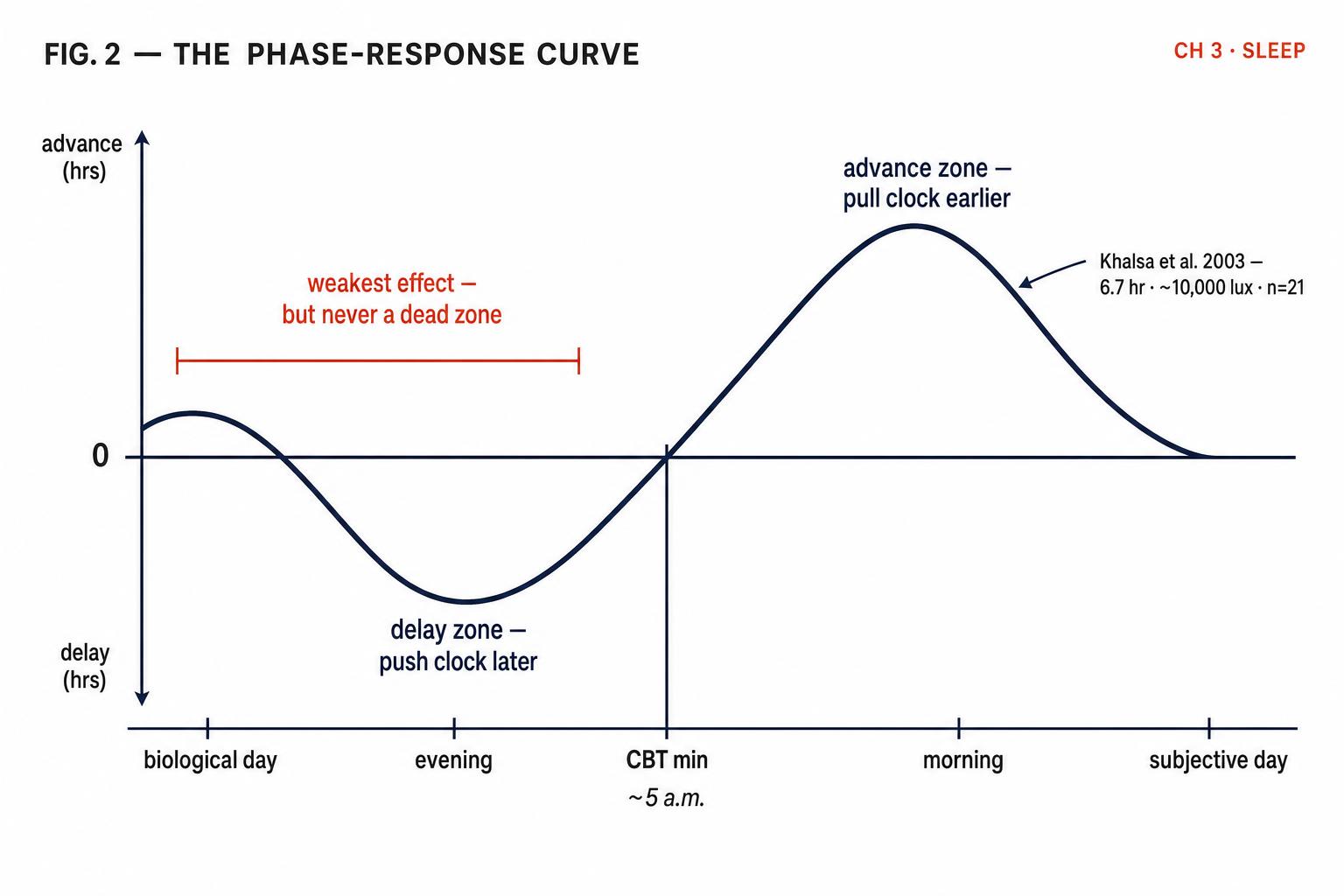 The human phase-response curve to bright light, after Khalsa and colleagues (2003). Light before the core body temperature minimum delays the clock; light after it advances. The afternoon is the system's quietest hour — but never truly silent.