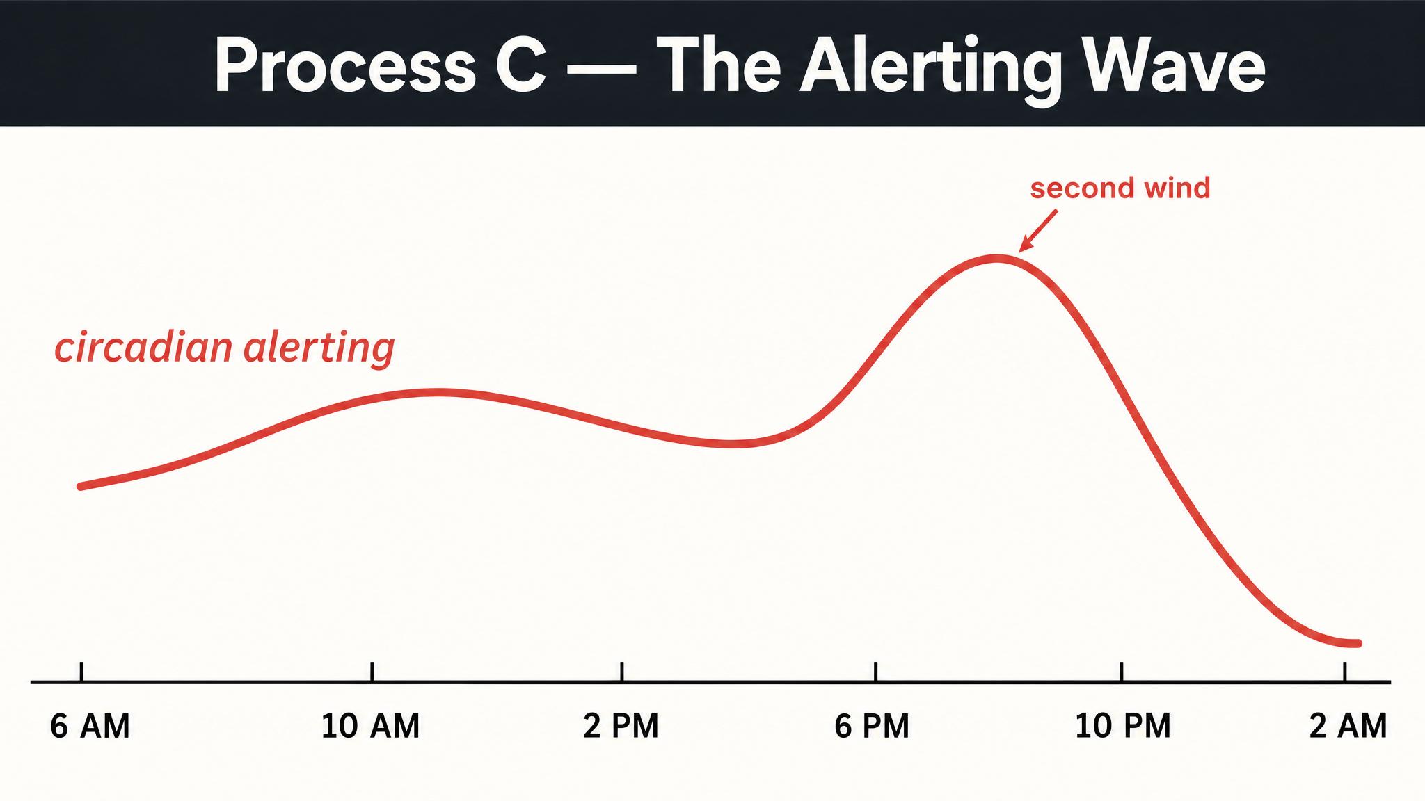 Process C — the alerting wave