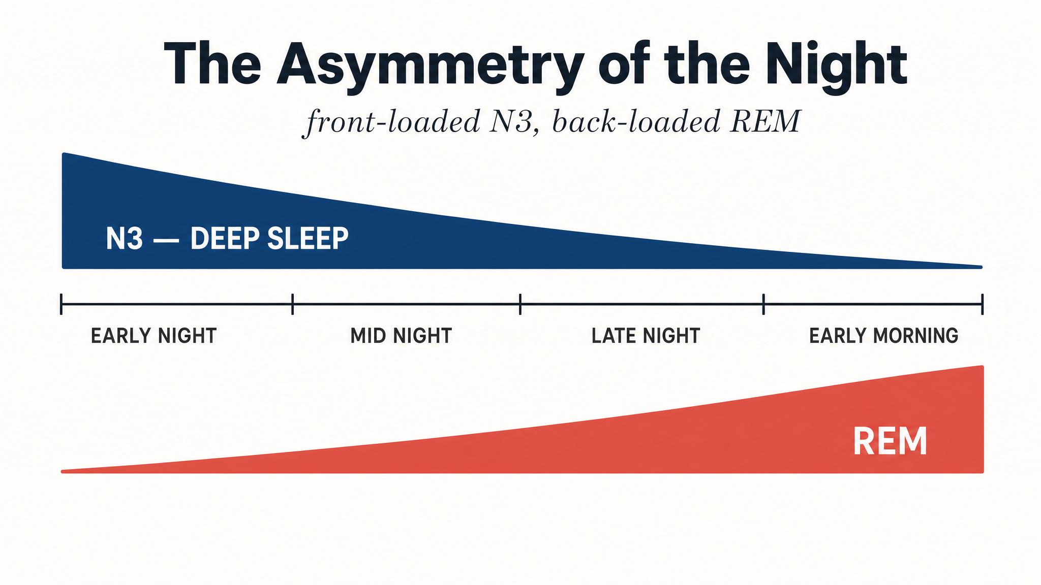 The asymmetry of the night