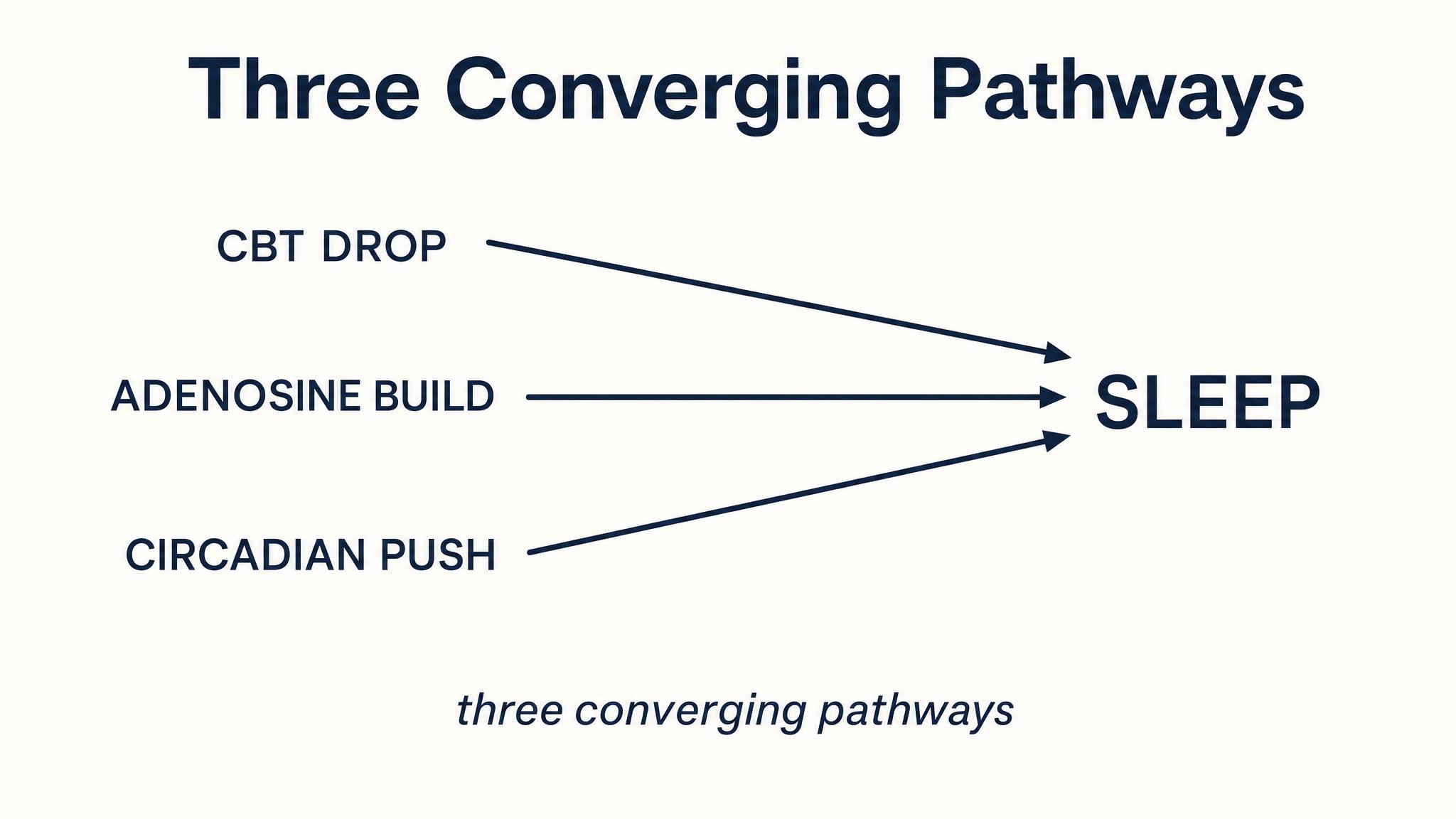 Three converging pathways