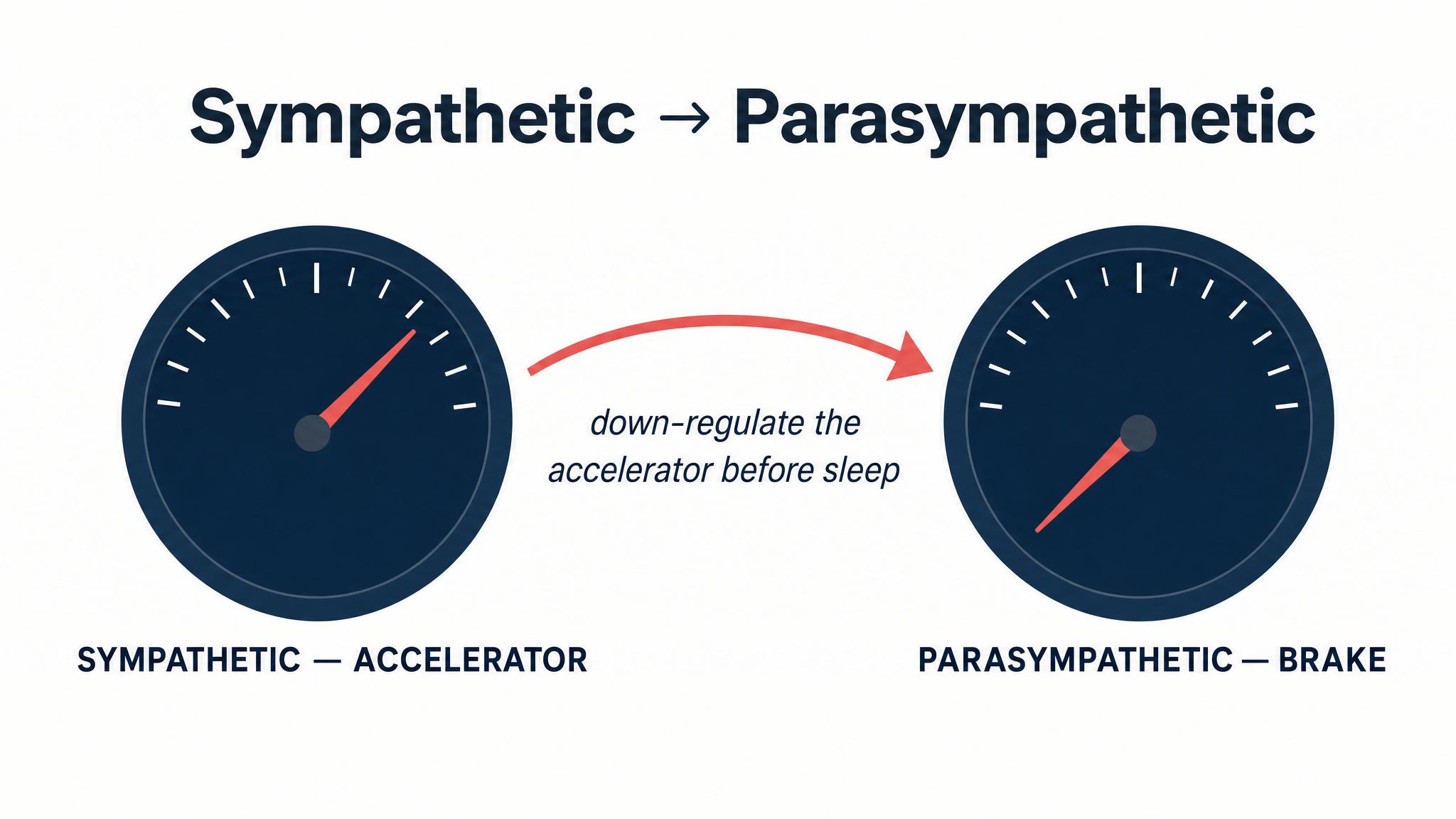 Sympathetic → parasympathetic